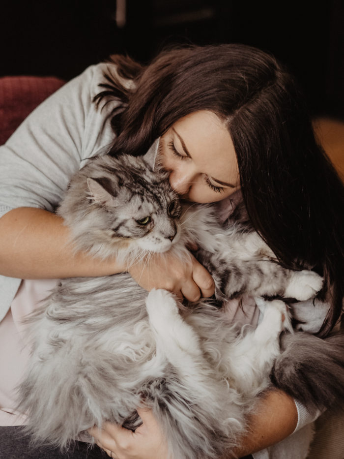 Cat Sitting Prague
